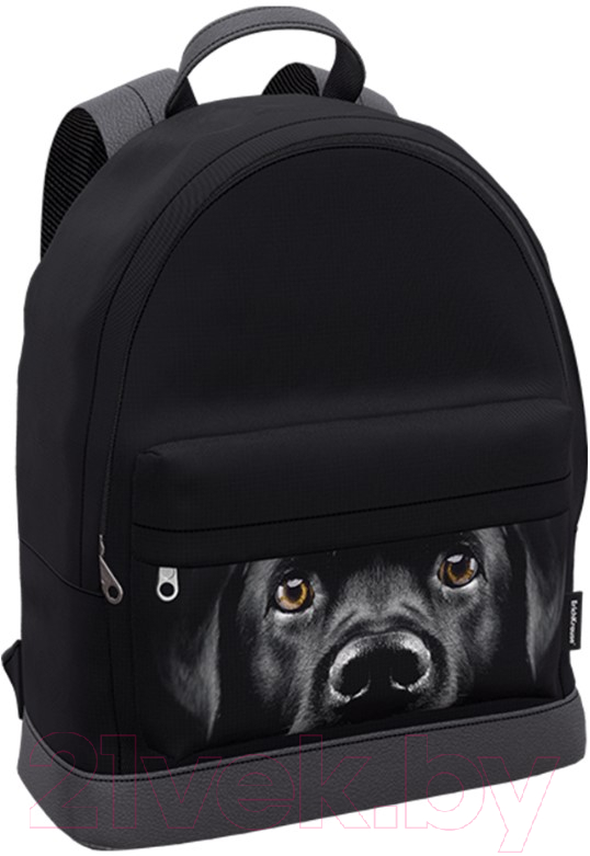 Рюкзак Erich Krause StreetLine 17L Black Dog / 60349