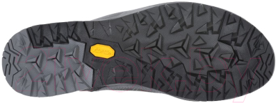 Трекинговые ботинки Asolo Falcon Evo Lth GV MM / A40060_B036 (р-р 11, серый/черный)