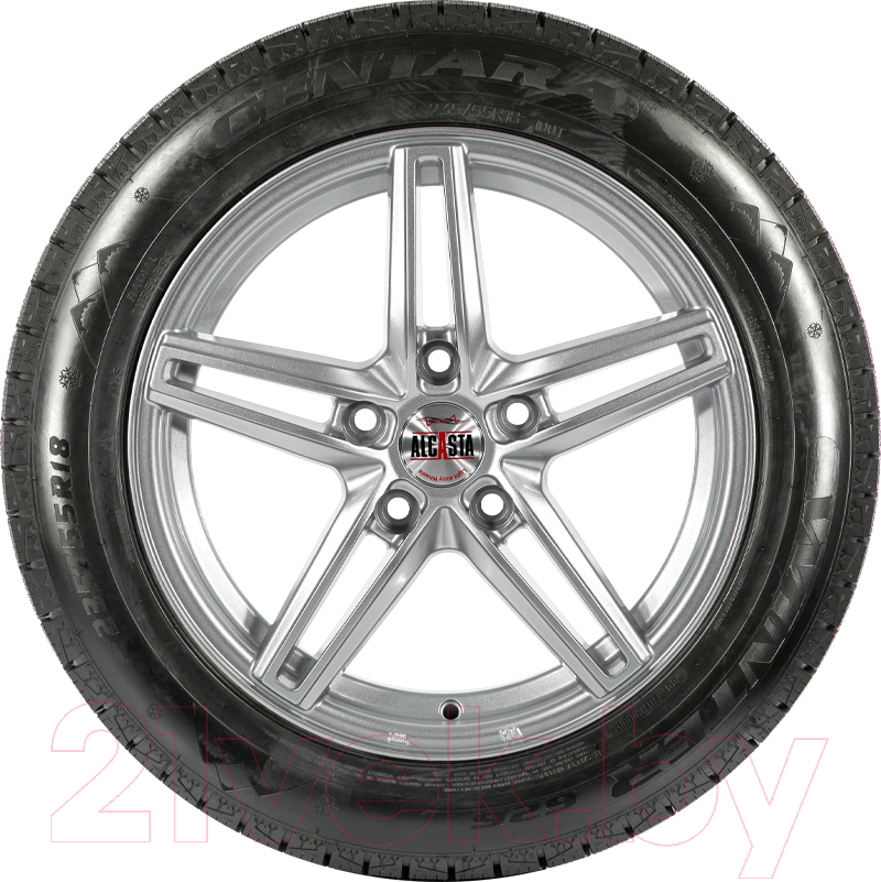 Зимняя шина Centara Winter RX626 225/65R17 102T