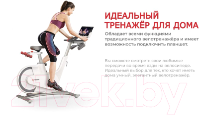 Велотренажер Yesoul Smart Spinning Bike V1 (белый)