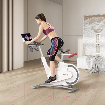 Велотренажер Yesoul Smart Spinning Bike V1 (белый)