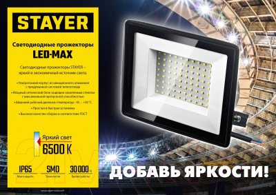 Прожектор Stayer 56925-2-30