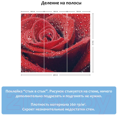 Фотообои листовые Citydecor Красная роза (300x254)