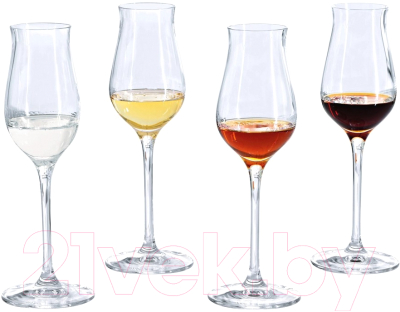 Набор бокалов Spiegelau Special Glasses / 4510173 (4шт)