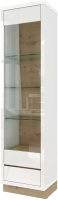 Шкаф-пенал с витриной Stolline Балтимор со стеклом / 414.03 (белый/дикий дуб) - 
