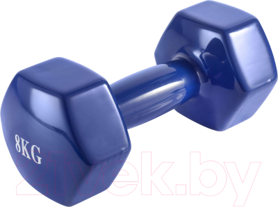 Гантель VictoryFit VF-DV080