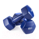Миниатюра изображения товара Гантель VictoryFit VF-DV080 (8кг)