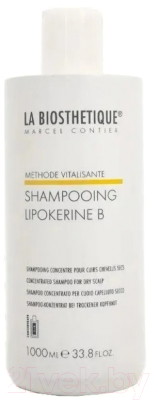 Шампунь для волос La Biosthetique HairCare MV Для сухой кожи головы (1л)