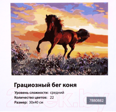 Картина по номерам Школа талантов Грациозный бег коня / 7880882