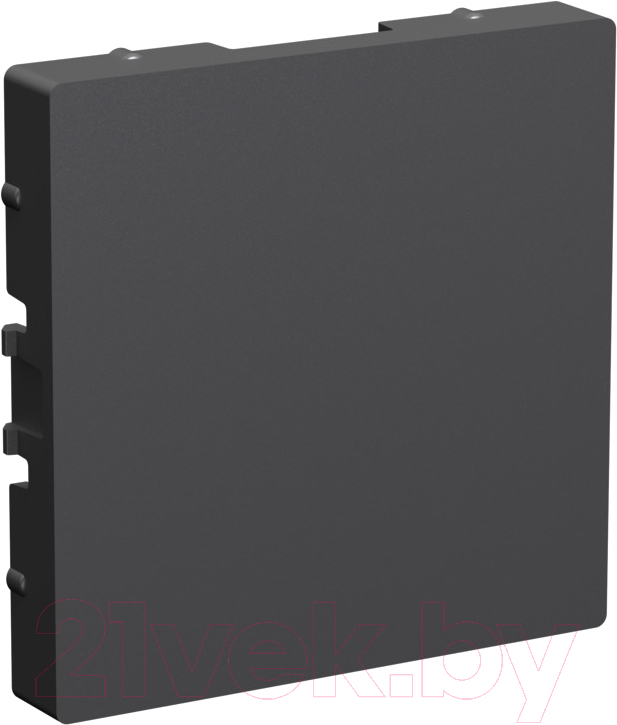 Декоративная заглушка для розетки Systeme (Schneider) Electric AtlasDesign ATN001409 — фото 1