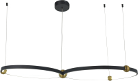 Потолочный светильник Mirastyle XL-20635/2 BK+BRASS - 