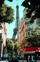 Картина Stamion Парижане (25x40см) - 