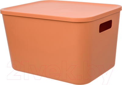 Контейнер для хранения Handy Home Оптима 325x245x200 / Fancy-hh101-L (оранжевый)
