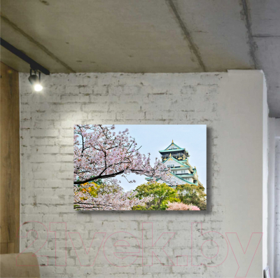 Картина Stamion Сакура (25x40см)