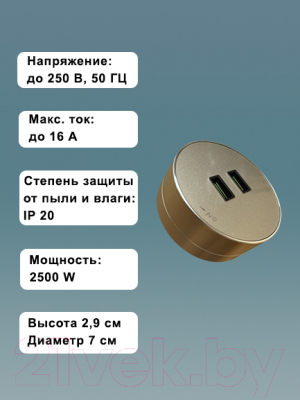 Комплект трековых розеток Track socket Шинопровод 60см + 2 Евро розетки + 1 USB розетка (золотой)