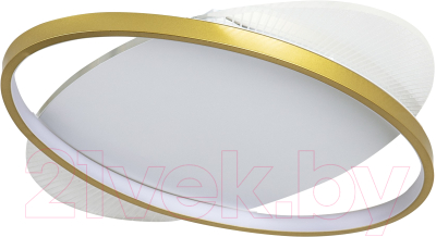 Потолочный светильник LED4U L1025-500 GD