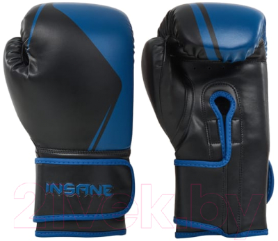 Боксерские перчатки Insane Montu / IN23-BG500 (10oz, синий)