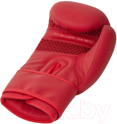 Боксерские перчатки Insane Oro / IN23-BG400 (10oz, красный)