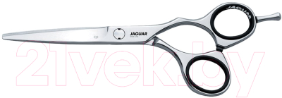 Изображение товара Ножницы парикмахерские JaguaR CJ3 6.0 Silver Line прямые