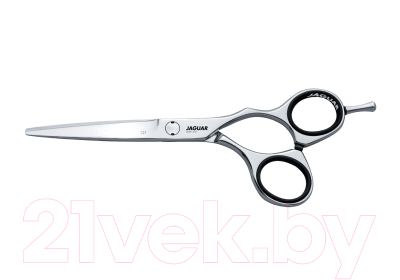 Изображение товара Ножницы парикмахерские JaguaR CJ3 6.0 Silver Line прямые