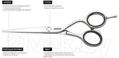 Изображение товара Ножницы парикмахерские JaguaR CJ3 6.0 Silver Line прямые