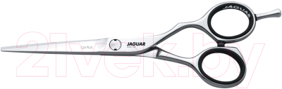 Изображение товара Ножницы парикмахерские JaguaR CJ4 Plus 6.0 Silver Line прямые