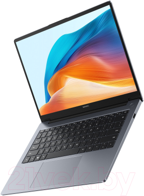 Ноутбук Huawei MateBook D 14 MDF-X (53013TBH)