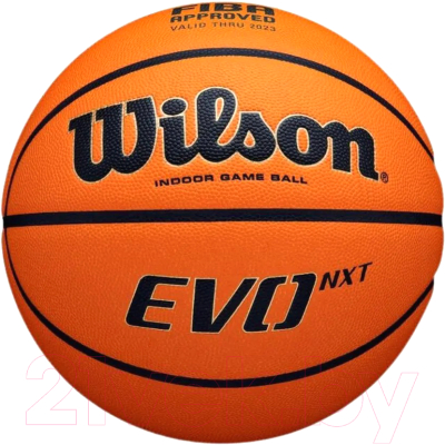 Баскетбольный мяч Wilson Evo Nxt / WTB0965XB7 (размер 7)