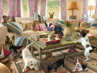 Пазл Prime 3D Super 3D Собаки в гостиной / 10458 - 