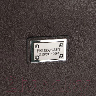 Сумка Passo Avanti 881-2051-2-BCL (коричневый)
