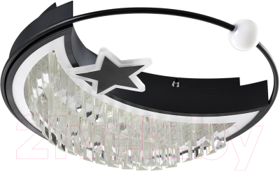 Потолочный светильник LED4U L8024-450 BK