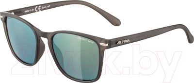 Очки солнцезащитные Alpina Sports Yefe / A86473-21 (серый/золото)