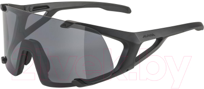 Очки солнцезащитные Alpina Sports Hawkeye All / A86923-31 (черный)