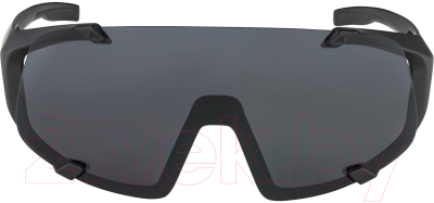 Очки солнцезащитные Alpina Sports Hawkeye All / A86923-31 (черный)
