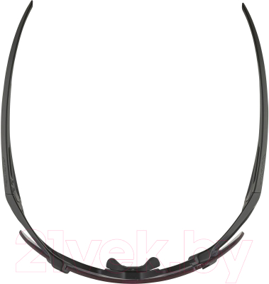 Очки солнцезащитные Alpina Sports Hawkeye S Q-Lite V / A86941-31 (черный матовый/пурпурный)