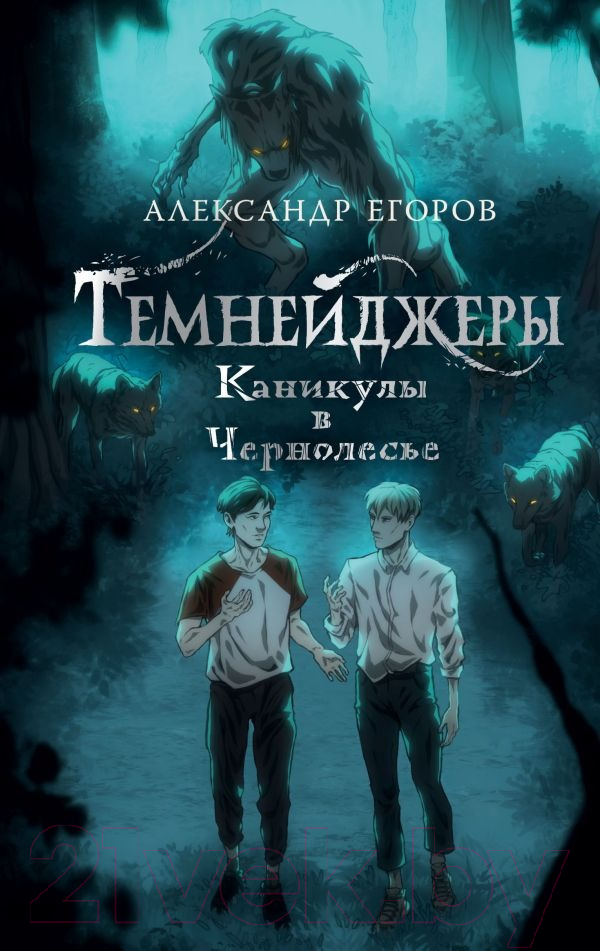 Художественная книга АСТ Темнейджеры. Каникулы в Чернолесье (Егоров А.А.) — фото 1
