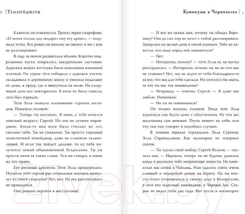 Художественная книга АСТ Темнейджеры. Каникулы в Чернолесье (Егоров А.А.) — фото 3