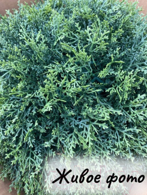 Искусственное растение Merry Bear Home Decor Туя шаровидная / KDA0255