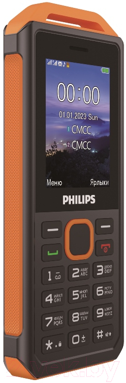 Мобильный телефон Philips Xenium E2317 / CTE2317YL/00