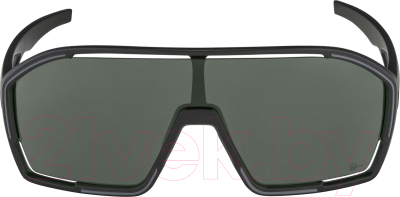 Очки солнцезащитные Alpina Sports Bonfire Q-Lite / A86860-31 (черный/серебристый)