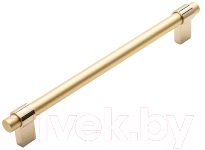 Ручка для мебели System SY8770 GL-BB (192мм, глянцевое золото/матовое золото)