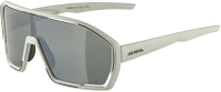 Очки солнцезащитные Alpina Sports Bonfire Q-Lite / A86860-21 (серый матовый/серебристый) - 