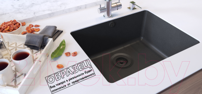 Мойка кухонная Aquasanita Arca SQA102W (черный металлик)