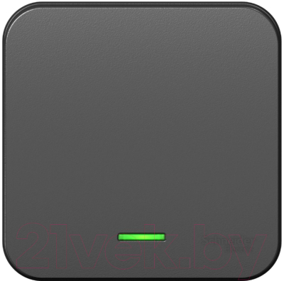 

Выключатель Schneider Electric, Blanca BLNVA101106