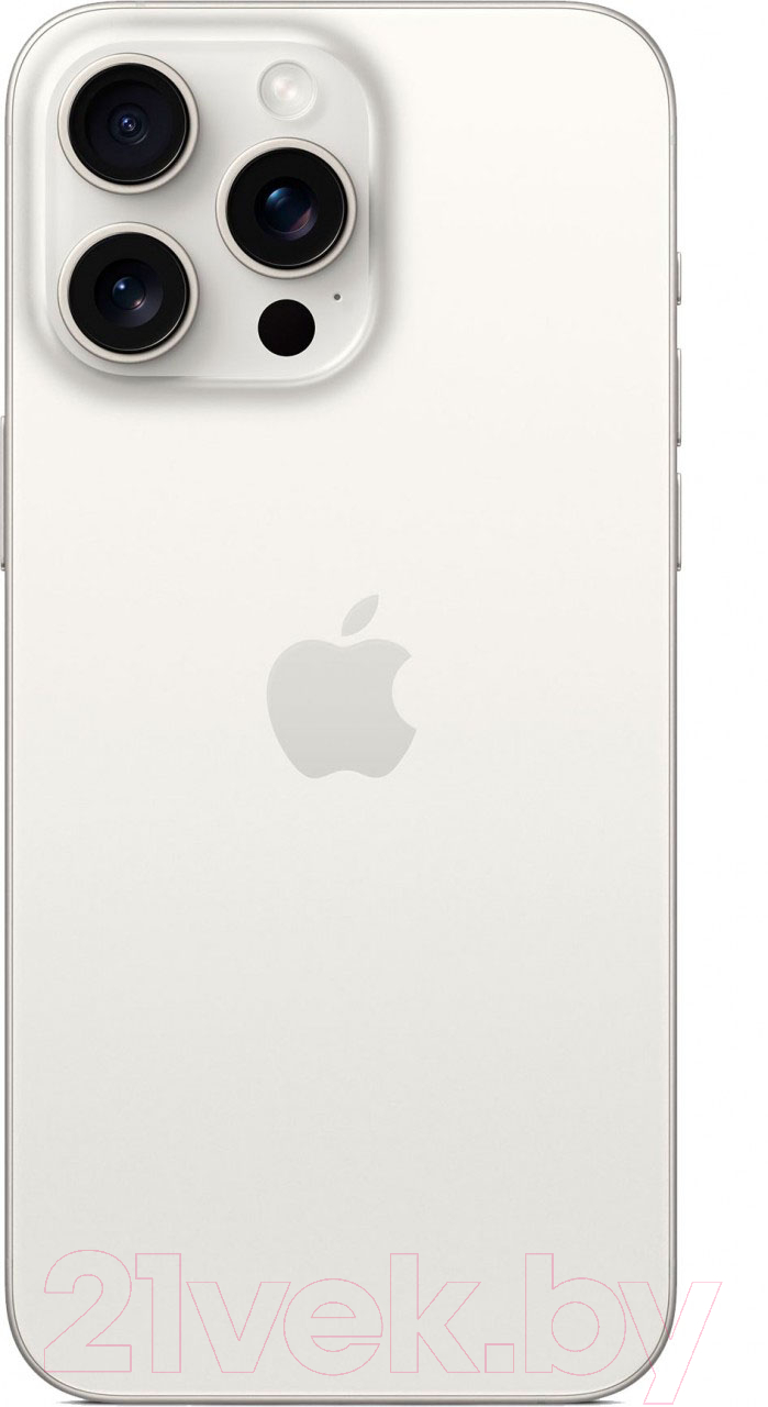 Смартфон Apple iPhone 15 Pro Max 256GB A3106 / A3105 (белый титан)