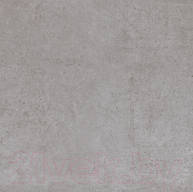 Плитка Zerde Tile Scorpia Grey матовый (600x600)