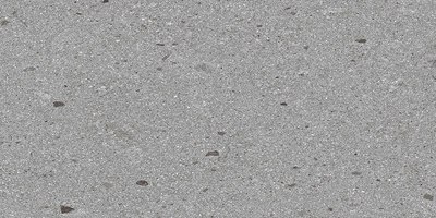 Плитка Zerde Tile Terrazzo Grey матовый (600x1200) - 