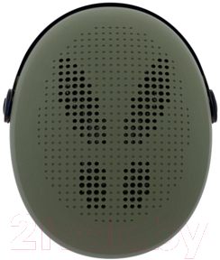 Шлем горнолыжный Alpina Sports Arber Visor Q-Lite зимний с визором / A9228-60 (р-р 54-58, оливковый матовый)