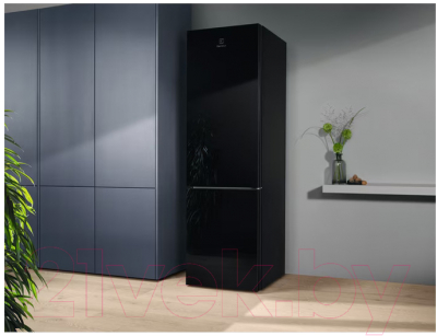 Изображение товара Холодильник с морозильником Electrolux LNT7ME36K2