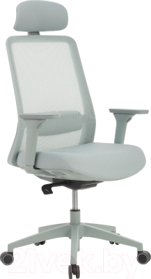 Кресло офисное Riva Work W-218C (светло-серый)